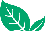 Leaf Image